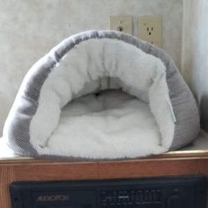 Pet bed